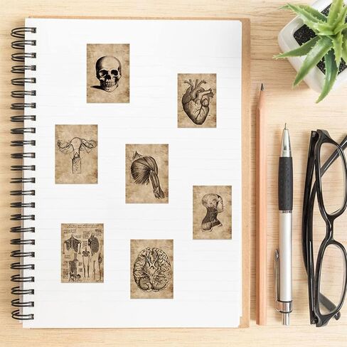 56pcs Human Skeleton Vintage Stickers, Retro Body Organ Stickers for Nurses Doctors Scrapbook Laptop Journal Luggage Skateboard Phone Bike Car Bumper in Saudi Arabia