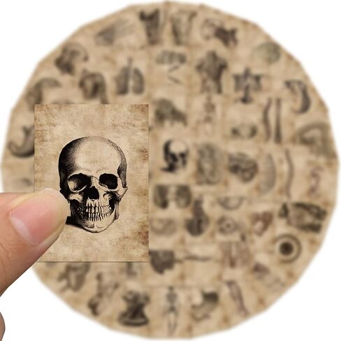 56pcs Human Skeleton Vintage Stickers, Retro Body Organ Stickers for Nurses Doctors Scrapbook Laptop Journal Luggage Skateboard Phone Bike Car Bumper in Saudi Arabia