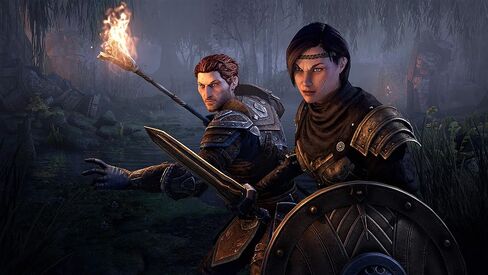 Elder Scrolls Online Collection: Blackwood - PC in Saudi Arabia