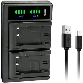Kastar 2-Pack Battery and LTD2 USB Charger Replacement for Sony NP-FS11 NP-F10 NP-FS10 NP-FS12, FS21, FS31 Battery, Sony AC-VQ11, AC-VF10 Charger