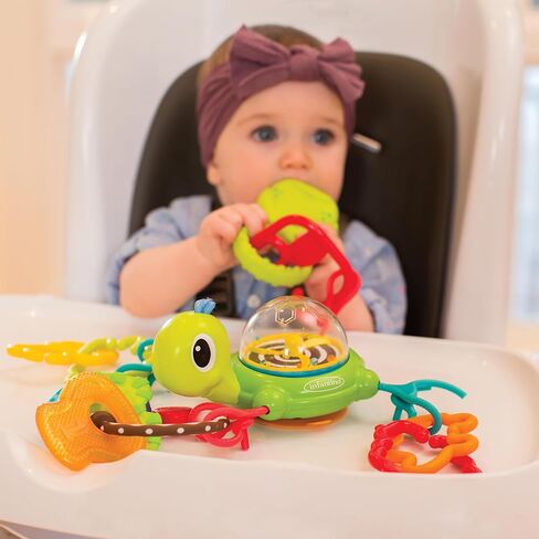 إنفانتينو لينك آند سبين كوب شفط، سلحفاة in Kuwait