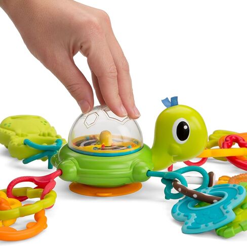 إنفانتينو لينك آند سبين كوب شفط، سلحفاة in Kuwait