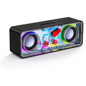 Portable Bluetooth Speaker, Transparent Wireless Speaker with RGB Lights, Bluetooth 5.3, TWS Pairing, TF Card, AUX, Outdoor Waterproof Speaker for Party Camping Beach Travel Hiking, Black