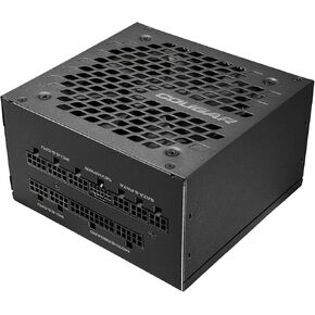 COUGAR GEX X2 1000, ATX3.0 Power Supply, PCIE Gen5.0, 12VHPWR, 80Plus Gold Certificate, Cybenetics Platinum, 140mm Length, 10-Year-Warranty
