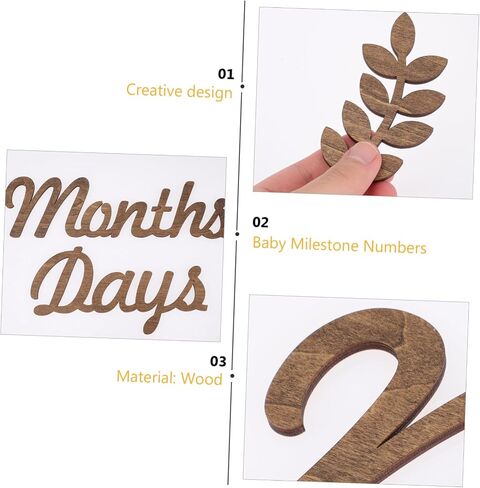 1 Set Month Plate Wooden Baby Photo Props Baby Photo Props Wooden Monthly Baby Milestone Baby Birth Blocks for Baby Building Blocks Baby Milestone Numbers Sign Newborn Ornaments in Saudi Arabia