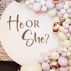 He or She Boy Girl Gender Reveal Decorations for Balloon Arch He or She Letters Decal Sign for Backdrop Large Baby Gender Sign Decal Party Wall Sticker Decor