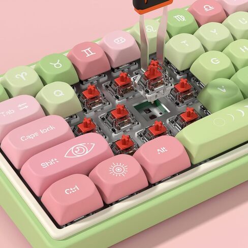 D66 Wireless Mechanical Keyboard - 2.4G/Bluetooth/Wired, 1000Hz Polling Rate, Volume Knob, RGB Backlit, Premium Gaming Experience, Gateron Red Switch, Stars Theme in Saudi Arabia