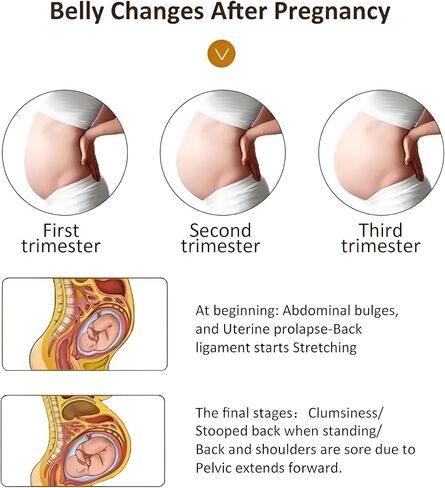 حزام دعم الأمومة النهائي للراحة والإغاثة | حزام البطن أثناء الحمل لآلام الظهر والورك | دعامة دعم الخصر للأمهات الحوامل قبل الولادة (بيج) in Saudi Arabia
