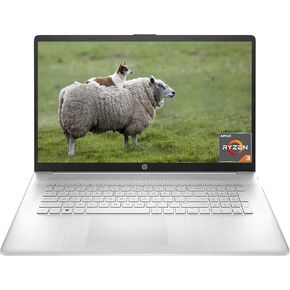 HP 2024 17.3 Laptop for Business, 17.3" HD+ Display, AMD Ryzen 3-7320U(Up to 4.1GHz), 8GB DDR5, 256GB SSD, Wi-Fi, Bluetooth, Long Battery Life, Fast Charge, Windows 11 Home