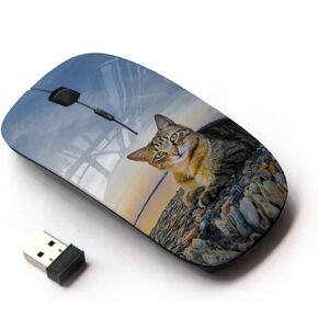 [ Optical 2.4G Wireless Mouse [ House Cat Nature Sunset Shorthair British ]