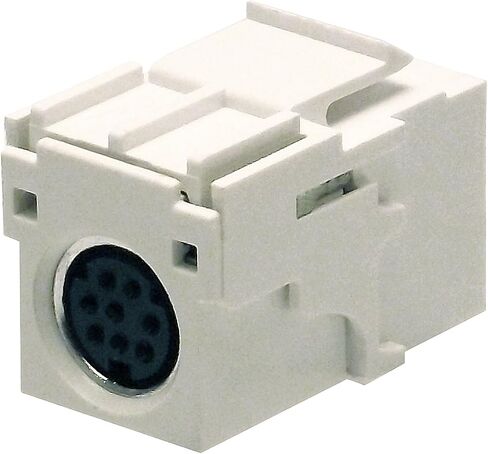 شاكسون كيستون إدراج 6 دبوس ميني دين (PS2) مقرنة F / F (BM303W-6MD-B) in Kuwait
