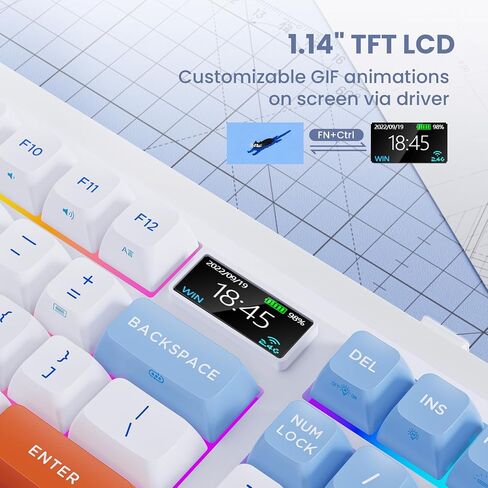 L98 Wireless Mechanical Keyboard, Hot-swappable Wired/Bluetooth 5.0/2.4G Wireless Keyboard with RGB Light for Windows & Mac, PBT Keycaps, TTC Titan Heart Switch, Navy White in Saudi Arabia