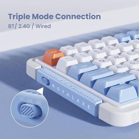 L98 Wireless Mechanical Keyboard, Hot-swappable Wired/Bluetooth 5.0/2.4G Wireless Keyboard with RGB Light for Windows & Mac, PBT Keycaps, TTC Titan Heart Switch, Navy White in Saudi Arabia