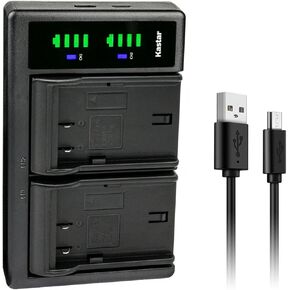 Kastar 4-Pack Battery and LTD2 USB Charger Replacement for Panasonic Lumix DC-G9, Lumix DMC-GH3, Lumix DMC-GH3A, Lumix DMC-GH3AGK, Lumix DMC-GH3GK, Lumix DMC-GH3H, Lumix DMC-GH3HGK Digital Cameras