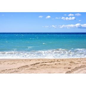 BELECO 5x3ft Fabric Tropical Beach Backdrop Ocean Wave Backdrop Summer Blue Sea Beach Scene Background Hawaiian Luau Party Decorations Sandy Beach Birthday Wedding Shoot Photo Booth Studio Props