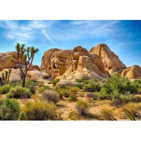 BELECO 5x3ft Fabric Desert Backdrop Joshua Tree National Park Photography Backdrop Odd Trees Rocky Mountains Natural Scenery Holiday Background Hiking Camping Pictures Home Decor Photo Studio Props