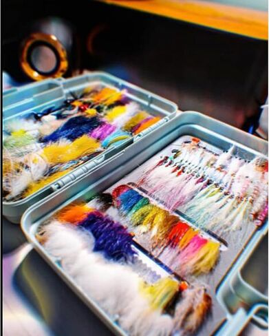 Streamer Fly Box Click Lock Large Streamer Flies Storage Fishing Tackle Box Boat Box Foam Fishing Trays(M) in Kuwait