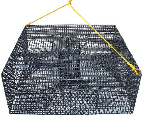 برومار وعاء الروبيان عالي التحمل مع شبكة 1/2 بوصة و4 أنفاق، 24 × 24 × 9 بوصة، متعدد (TR-2245) in Kuwait