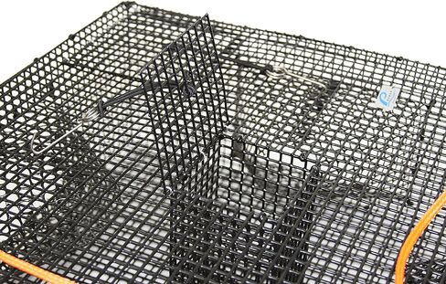 برومار وعاء الروبيان عالي التحمل مع شبكة 1/2 بوصة و4 أنفاق، 24 × 24 × 9 بوصة، متعدد (TR-2245) in Kuwait