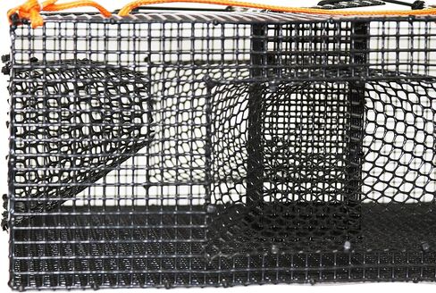 برومار وعاء الروبيان عالي التحمل مع شبكة 1/2 بوصة و4 أنفاق، 24 × 24 × 9 بوصة، متعدد (TR-2245) in Kuwait