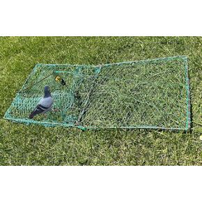 Bird, Pigeon, Quail Humane Live Trap Hunting Bird Catcher Net,Trap Accessories Large 13"x26" (2024 Updated Design)