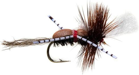Outdoor Planet 12/24 Fly Fishing Flies Kit Fly Assortment, Dry Flies Wet Flies Streamers Nymphs Flies, Fly Fishing Assortment Kit for Bass Trout Salmon Fishing in Saudi Arabia