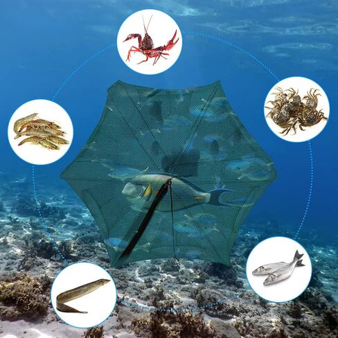 Bait Trap, Portable 6 Holes Automatic Nylon Fishing Net Shrimp Cage Foldable Fish Cast Mesh Trap Net with Zipper for Fishes, Shrimp, Minnow, Crayfish, Crab, Crawdad in Saudi Arabia