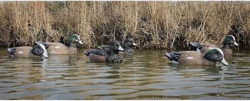 Higdon Outdoors Standard Widgeon Duck Decoys، مملوءة بالرغوة in Saudi Arabia