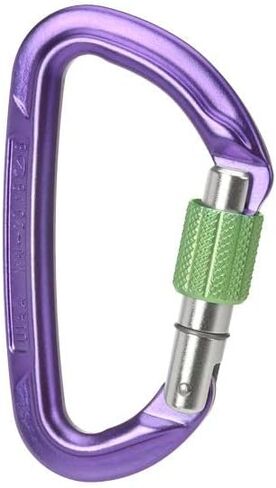 Wild Country Session Screwgate Rock Climbing Carabiner - Lightweight Aluminum Locking Carabiner in Kuwait