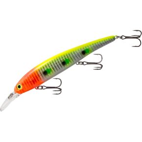 Bandit Lures Walleye Shallow in Kuwait