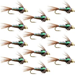 The Fly Fishing Place Tungsten Bead Head Nymph Fly Fishing Flies - Flashback Pheasant Tail Trout Fly - Nymph Wet Fly - 12 Flies Hook Size 16
