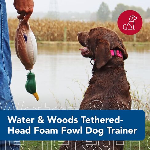 مدرب الكلاب الرغوي ذو الرأس المربوط من Water & Woods، مالارد، متوسط in Kuwait