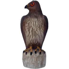 Bird B Gone Plastic Hawk Decoy (6 Pack) - Hawk Decoy to Scare Birds Away, Bird Deterrent Devices Outdoor, 16 Inch Fake Hawk Statue, Bird Repellent Scarecrow for Garden