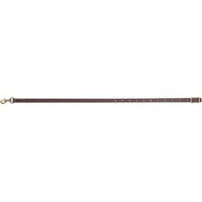Martin Archery Biothane 1in Tiedown Strap