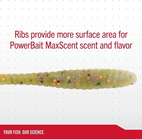 Berkley Berkley PowerBait MaxScent Flat Worm in Saudi Arabia