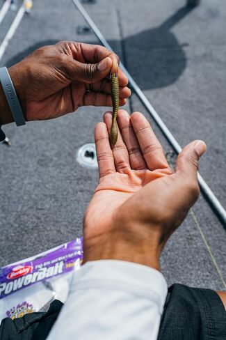 Berkley Berkley PowerBait MaxScent Flat Worm in Saudi Arabia