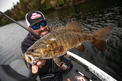 Berkley Berkley PowerBait MaxScent Flat Worm in Saudi Arabia