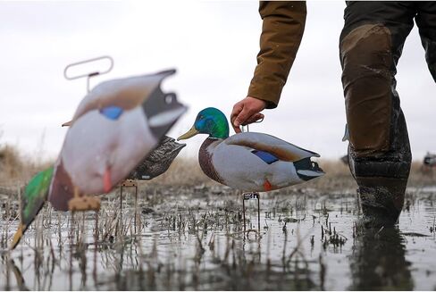 Higdon Outdoors Flats Mallard Motion Silhouette Waterfowl Decoy, 12-Pack in Saudi Arabia