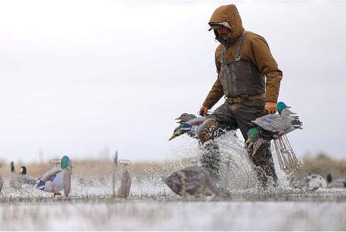 Higdon Outdoors Flats Mallard Motion Silhouette Waterfowl Decoy, 12-Pack in Saudi Arabia