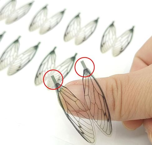 pack of 36 Realistic Fly Tying Wings Pre-cut cicada Stonefly Wings Fishing Baits DIY Fly Tying material in Saudi Arabia