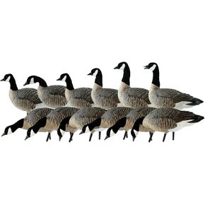 Avian-X AXP Lessers Full-Body Goose Hunting Decoys: Outfitter Pack - Rugged Durable Realistic Lifelike Standing Waterfowl Hunting Decoys with 12 Field Stakes & 12-Slot Decoy Bag Included - 12 Pack