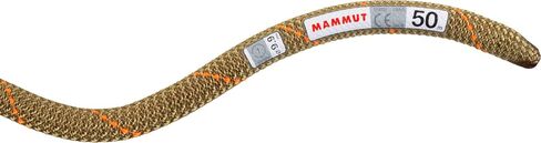 Mammut 9.9 Gym Workhorse Classic Rope in Saudi Arabia
