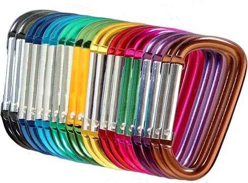 Carabiner 20 Pack - 2" Aluminum Carabiner D Shape Buckle Pack, Keychain Clip, Spring Snap Key Chain Clip Hook Buckle in Saudi Arabia
