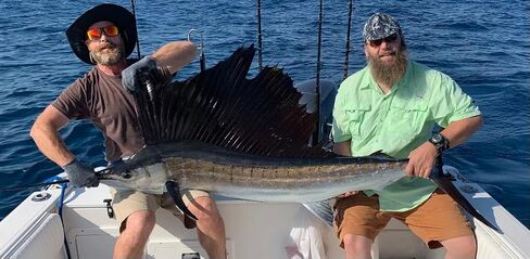 Ballyhoo Rig with Mylar Skirt. Tuna, Wahoo, Mahi Saltwater Fishing Lure. 7/0 Hook 150lb Mono. Offshore Fishing Ballyhoo trolling Lures in Saudi Arabia
