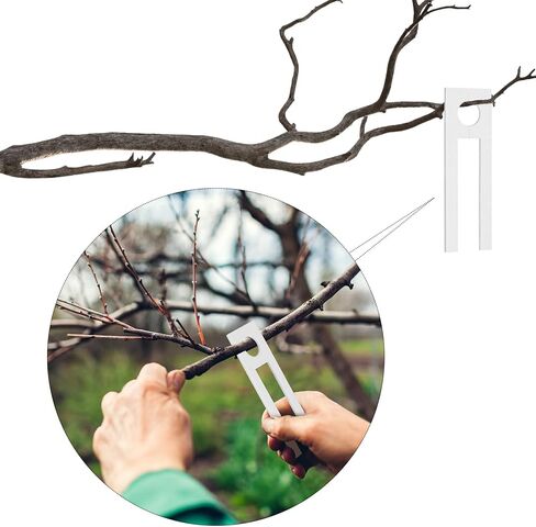 48 قطعة من نوسيني، فتيل بول الغزلان الممتص للرائحة مع حبال، وسادات رائحة بول الغزلان الجذابة للتبول من أجل سحب رائحة الصيد in Kuwait