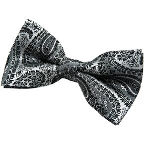 Retreez Paisley Art Pattern Woven Microfiber Pre-tied Bow Tie (5")