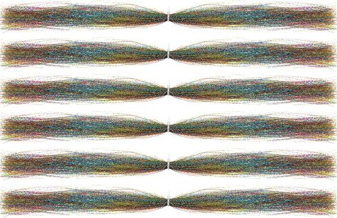 PATIKIL Crystal Flash Fly Fishing Line Fly Tying Material, 6Pcs 250 Strands Dry Flies Decorating Accessories for Making Fishing Hook Lure Flies, Multicolored in Saudi Arabia