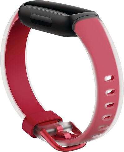 فيتبيت إنسباير 3، سوار شفاف، فلفل حار، كبير in Kuwait