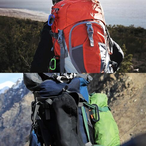 10 قطع من مشابك سلسلة المفاتيح بقفل لولبي - 3 بوصة من الألومنيوم المتين على شكل حرف D مشبك زنبركي للمنزل، والمركبات الترفيهية، والتخييم، وصيد الأسماك، والمشي لمسافات طويلة، والسفر، والرياضة في الهواء الطلق in Kuwait