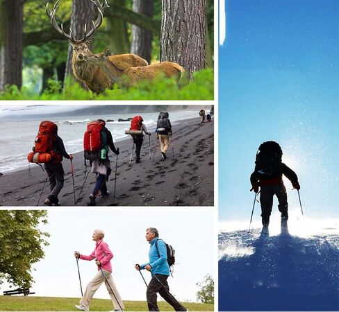 Upgrade Trekking Pole,Ultralight Aluminium Alloy Foldable, Anti Shock Walking/Camping （1 Pack，Light Blue） in Kuwait